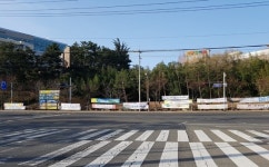 포항시내 주요 교차로마다 현수막 `덕지덕지`