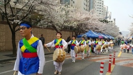 대구 서구 평리2동 한울타리 벚꽃축제 주민이 직접 기획·참여 `눈길`