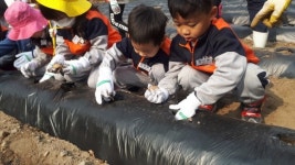 경주 의곡초, 2019학년도 제1회 본·분교 통합학습 실시 
