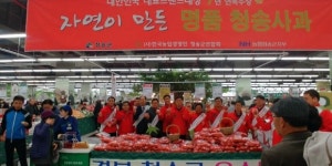 청송사과, 서울서 홍보·판촉행사 `호평`