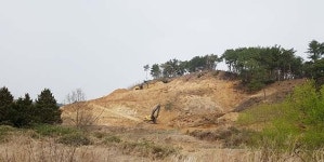 ˝자연 파괴하는 포항 태양광 발전소 중단하라˝