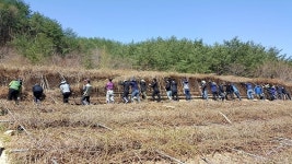 영양 수비면사무소, 폭설 피해농가 일손돕기