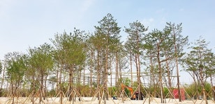 포항 해도근린공원, 미세먼지 차단 숲으로 거듭난다