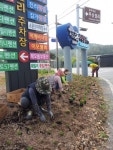 경주 양남면 하서4리, `게릴라 가든` 조성