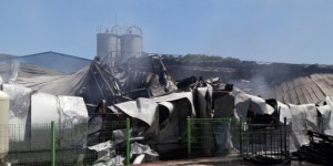 경산 자인면 시너 제조공장 불…1명 부상