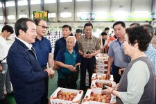 김충섭 김천시장, 과일 출하기 맞아 농산물 도매시장 방문