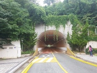 [카메라 고발] 운전자 시야 가리는 `서산터널 칡넝쿨`… 관련부서 `복지부동` 지적