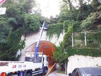 시야 가리는 서산터널 칡넝쿨, 카메라 고발 후 발 빠른 정리