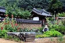 여유·볼거리·먹거리·체험… `산소카페 청송`에서 마음껏 골라담으세요
