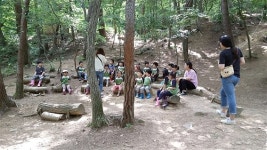 금오산유아숲체험원, 주말체험교육 한시적 운영
