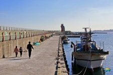 경주시, 2020년 어촌뉴딜 공모사업 `감포읍 연동항 등 7곳 신청`