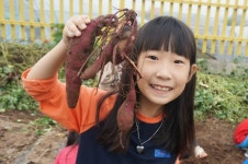 경주 연안초, 텃밭 가꾸기 사업 종료, 수확물 경로당 기증