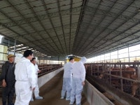 경주천년한우, 올해 17개 농장 신규 HACCP 인증 획득