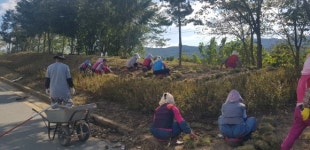 경주시 월성동 환경미화 사업 마무리