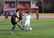 영양 축구 동호인 실력 마음껏 펼쳤다