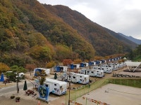 울긋불긋 화려한 가을 옷 갈아입은 영천으로 낭만여행 떠나볼까
