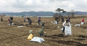달성군, 신당수박마을 주말농장 텃밭 분양