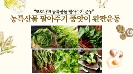 경북도 친환경농산물 농특산물 완판운동