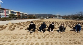 경주 천포초, 아이들이 뛰어놀 천연잔디구장 조성 완료