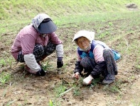 ˝석읍리 주민은 친형제처럼 정답고 평화롭게 살아가요˝