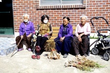 양남서 가장 너른 들판 만큼 인심도 풍요로운 `환서 1리`