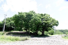 9만석 부자 살던 풍요로운 마을 새마을사업 성공 새긴 `환서 2리`