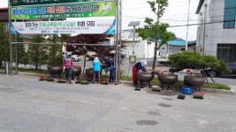 김천 어모면, 면사무소 청사주변 꽃 식재