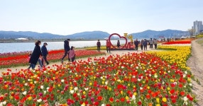 역사와 문화의 친수공간 포항 형산강 일대 수상레저·시민휴식·생태관광지로 급부상