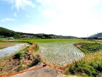 맛좋은 이사금쌀 생산하는 너른 들판 가진 마을 `신서리`