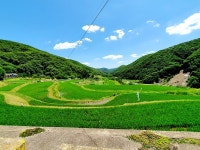 물·공기 좋고 이웃 간 情 돈독… 장수마을 소문난 `효동 2리`