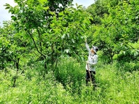 ˝살기에 더이상 좋은 곳 없지˝  산딸기 탐스러운 `권이리`