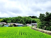 산으로 둘러싸여 아늑·정겨운 국립공원 속 마을 `장항 1리`