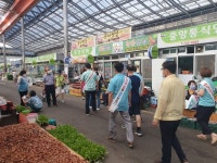 ˝사회적 거리두기로 코로나 확산 차단˝… 영덕 영해면 만세시장서 예방 캠페인