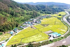 야부천 맑은 물·질 좋은 닥나무… 한지공장으로 부유했던 `안동 1리`