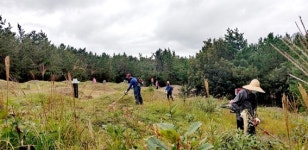 포항 청하면 ˝벌초, 마을서 해 드려요˝