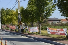 권리 주장도 좋지만···불법 현수막 난립하는 안강읍