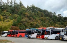 경북도 ˝단풍구경 오실 때 대형버스는 안돼요˝