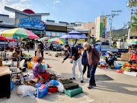 감포항 상업 중심·감포의 꽃… 발전 가능성 풍부한 `감포 2리`