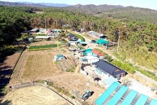 공기 맑고 경관 빼어난 마을 감포의 특별한 농촌 `감포 4리`