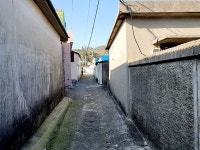 아름다운 모랫벌에 맑은물… 후리질(저인망어업) 하던 마을 `감포 5리`