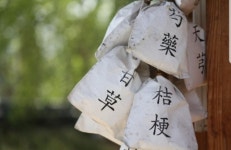 [생활 톡톡] 치료용 한약(첩약) 건강보험 어떻게 적용되나요?