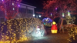 상주 화서면 행정복지센터, 크리스마스 맞아 조명 설치 `눈호강`