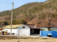 옛날 큰 버드나무 다섯 그루 자랐던 청정·아늑한 중심마을 `오류 3리`
