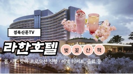 경주 라한호텔, 봄 시즌 맞아 ‘벚꽃 산책’ 프로모션 진행