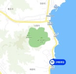 동경주 맛집기행⑥ - 감포읍 대본1리 고래등횟집