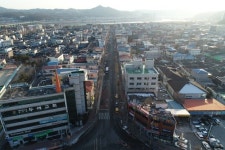 안동 태화중앙로 `가로수 수종갱신` 시범 추진