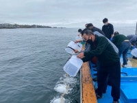 한국수자원공단 동해본부, 구룡포 연안 바다목장 쥐노래미 3만 마리 방류