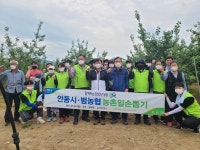 안동시·범농협, 임하면 오대리 농가 일손돕기