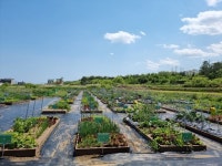 월성원자력본부, 주말농장 운영 원전 안전성 신뢰 확보 효과 `톡톡`