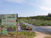 월성원자력본부, 주말농장 운영 원전 안전성 신뢰 확보 효과 `톡톡`